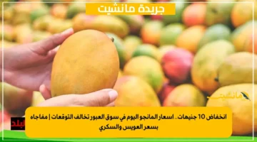 انخفاض 10 جنيهات.. أسعار المانجو اليوم في سوق العبور تخالف التوقعات مفاجأة بسعر العويس والسكري 1